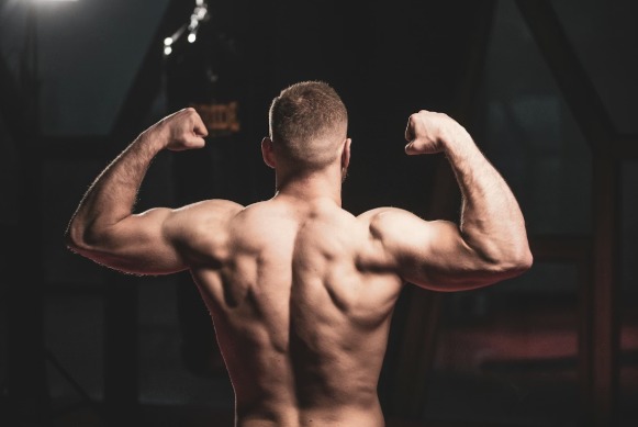 Masteron Steroid vs Other DHT Compounds: 5 Key Differences Explained