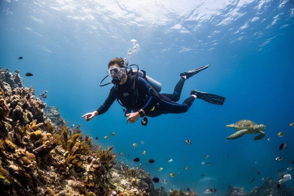 Exploring the World’s Best Underwater Destinations