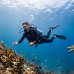 Exploring the World’s Best Underwater Destinations