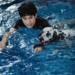 Getting In the Pool With Your Dog - Why Owners Are Swimming Too