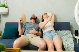 The Ownership Cost Questions Behind a Home Humidity Purchase